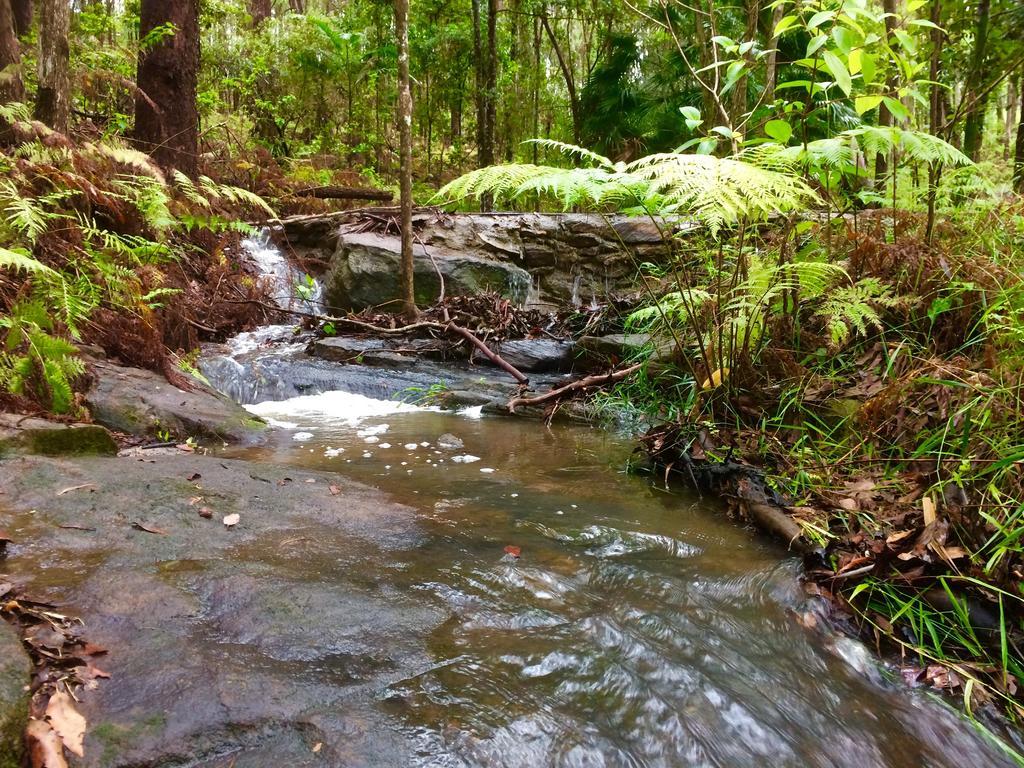 Noosa Hinterland Retreat Apartamento Tinbeerwah Exterior foto